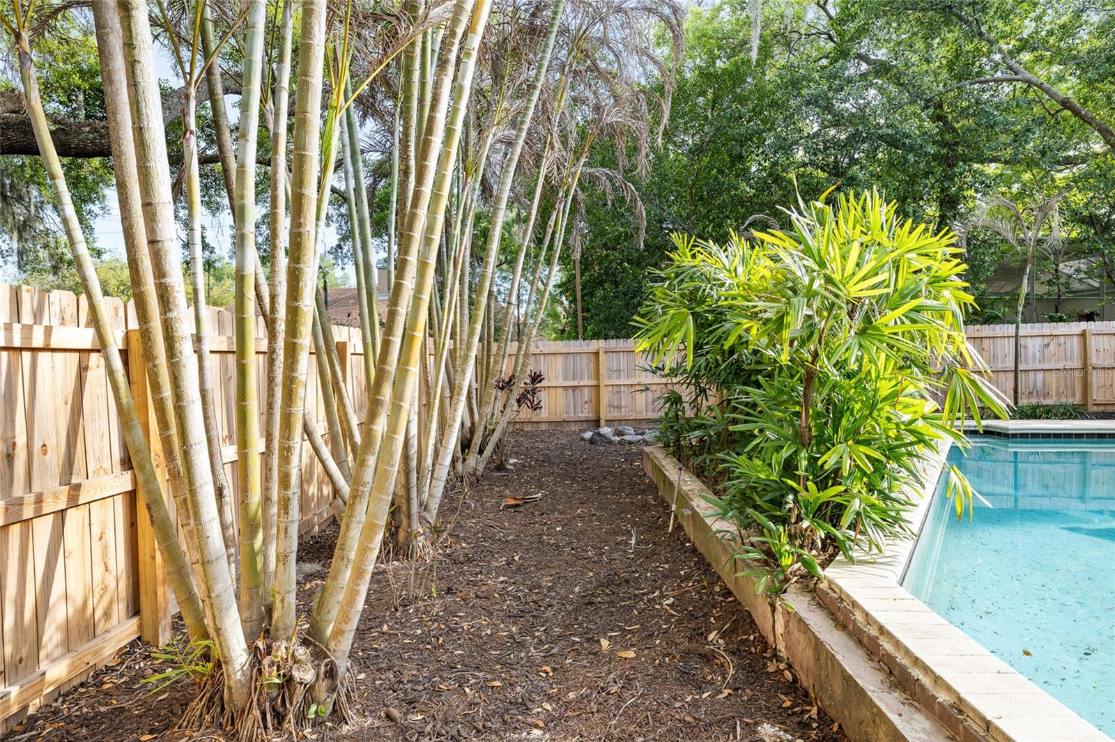 FRANCES ARBOR SOUTH - Residential