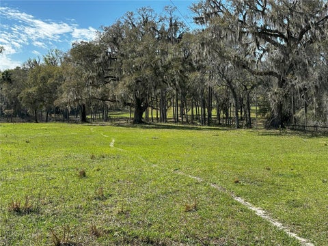 Tiny photo for 5201 W Highway 329, Reddick, FL 32686 (MLS # OM701883)