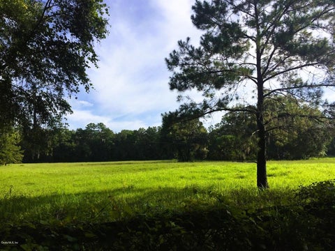 Tiny photo for 5201 W Highway 329, Reddick, FL 32686 (MLS # OM701883)