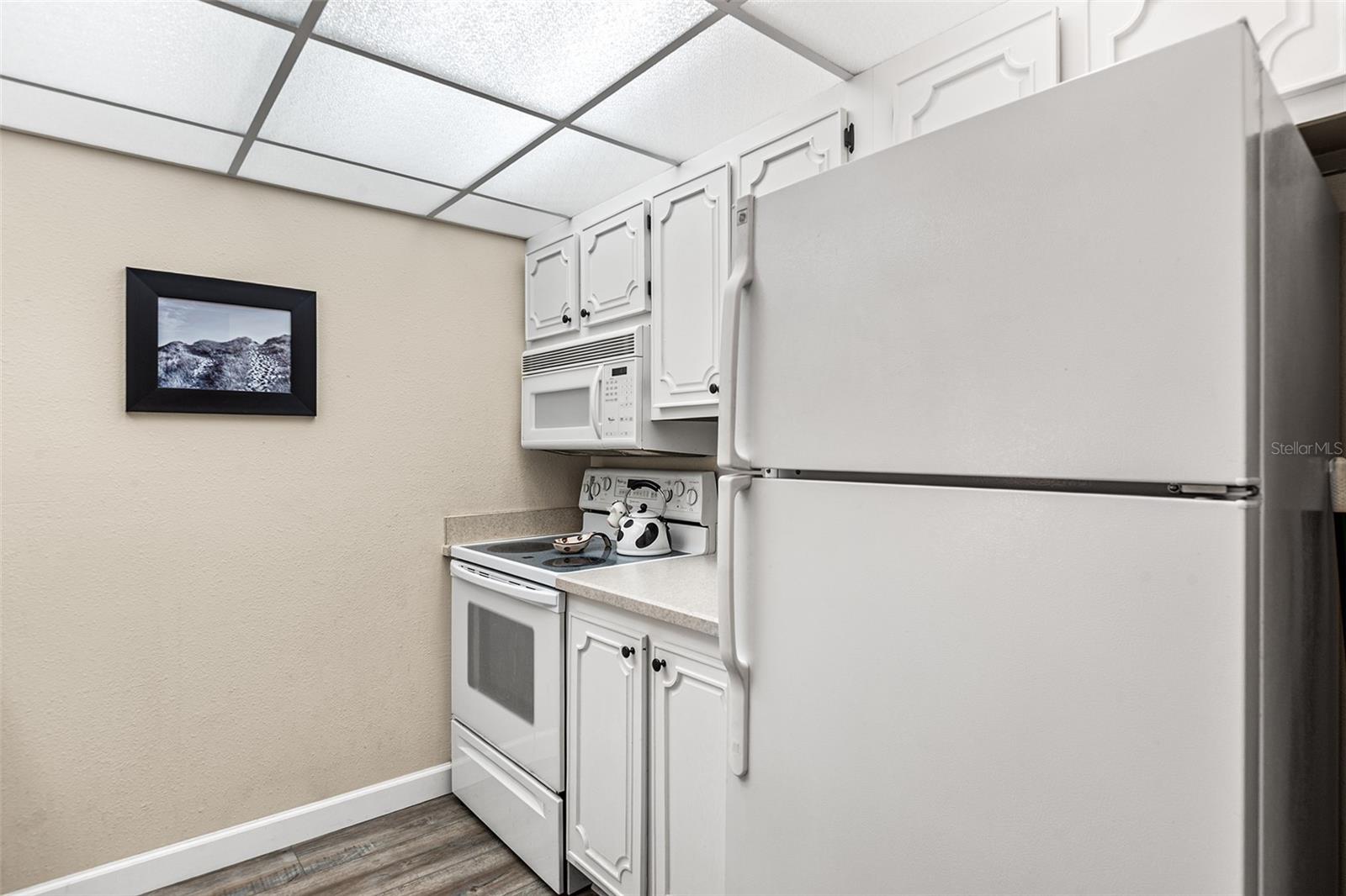 LAKEVIEW OF LARGO - Residential