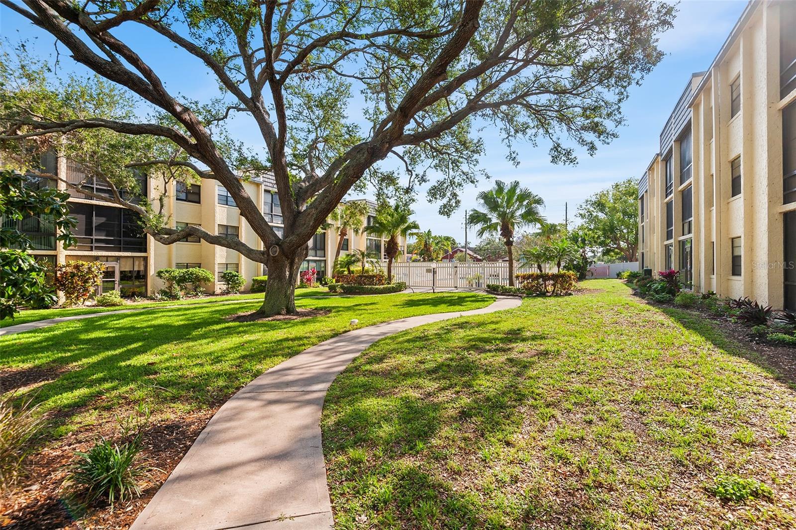 LAKEVIEW OF LARGO - Residential