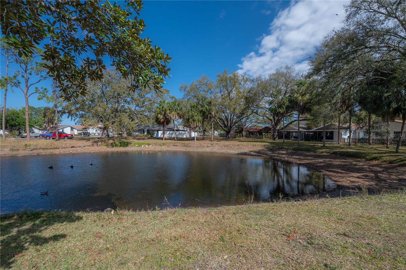 ROSEMOUNT VILLAGE UNIT 1 - Residential