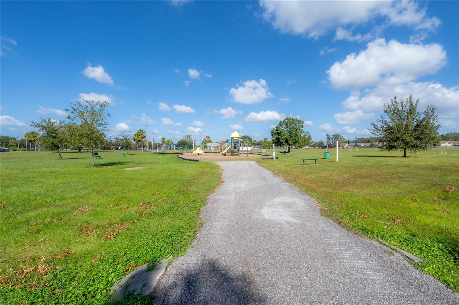 ROSEMOUNT VILLAGE UNIT 1 - Residential