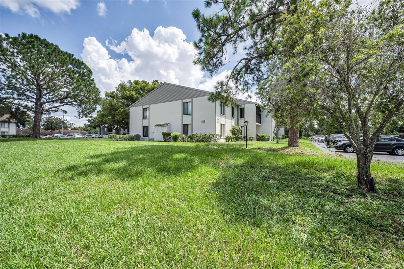 PINE RIDGE AT PALM HARBOR - Residential