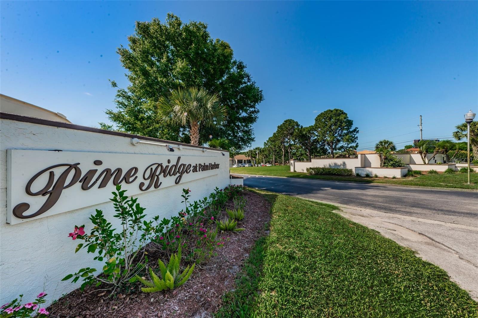 PINE RIDGE AT PALM HARBOR - Residential