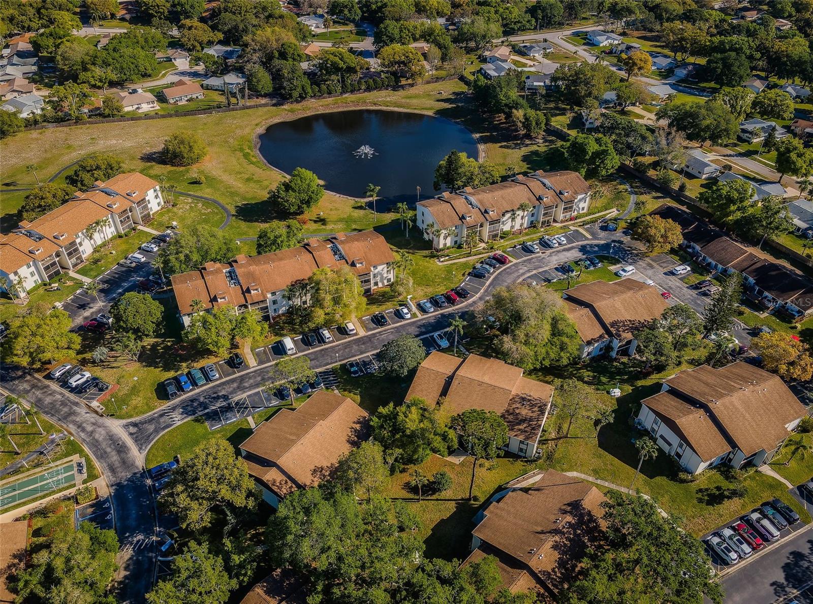 PINE RIDGE AT PALM HARBOR - Residential
