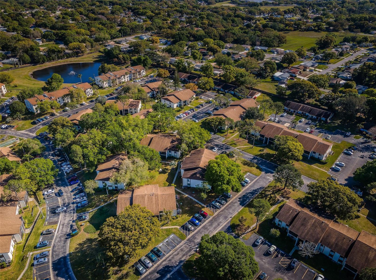 PINE RIDGE AT PALM HARBOR - Residential