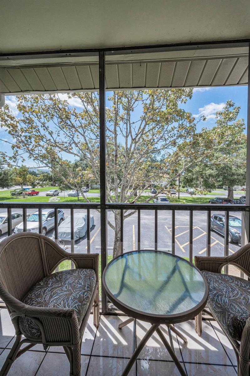 PINE RIDGE AT PALM HARBOR - Residential