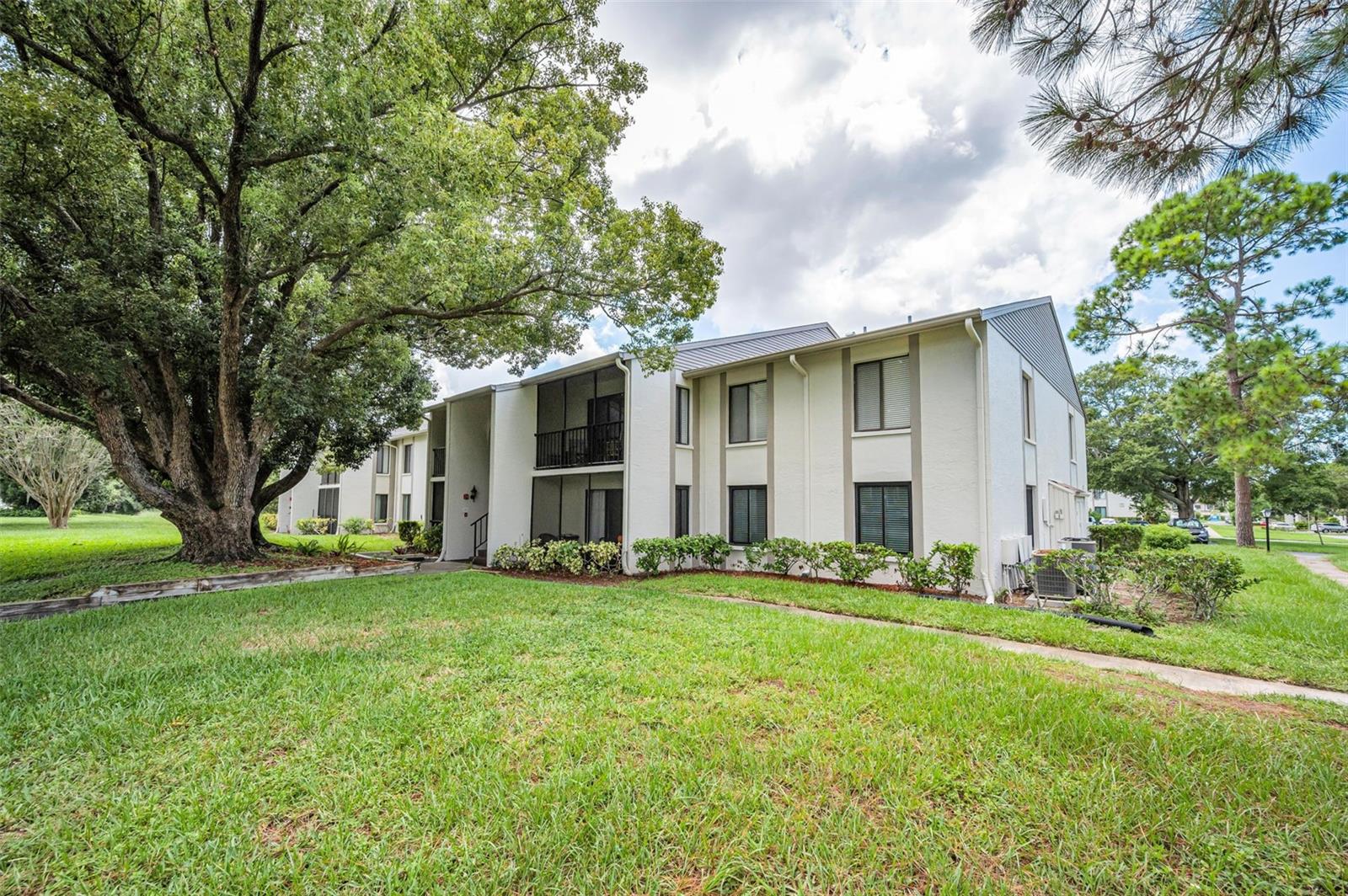 PINE RIDGE AT PALM HARBOR - Residential