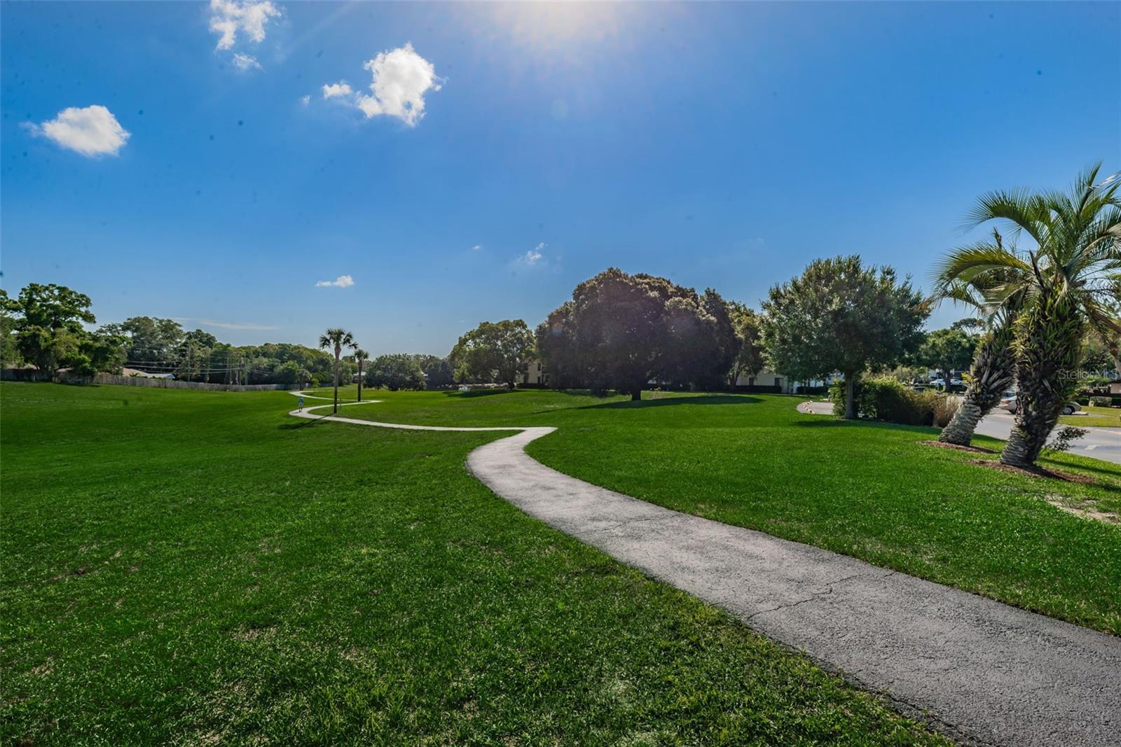 PINE RIDGE AT PALM HARBOR - Residential