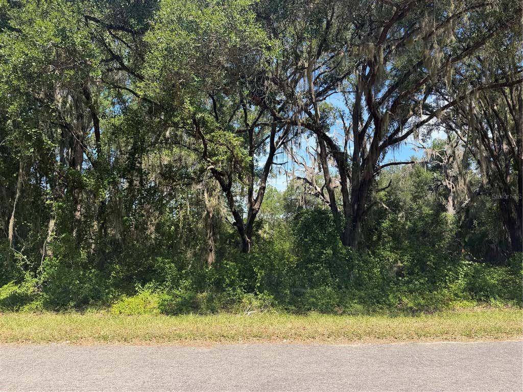 Photo of Tbd Guava Terrace, Ocklawaha, FL 32179 (MLS # OM729277)