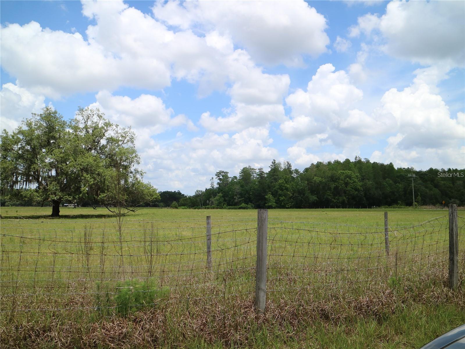 11819 TARPON SPRINGS ROAD
