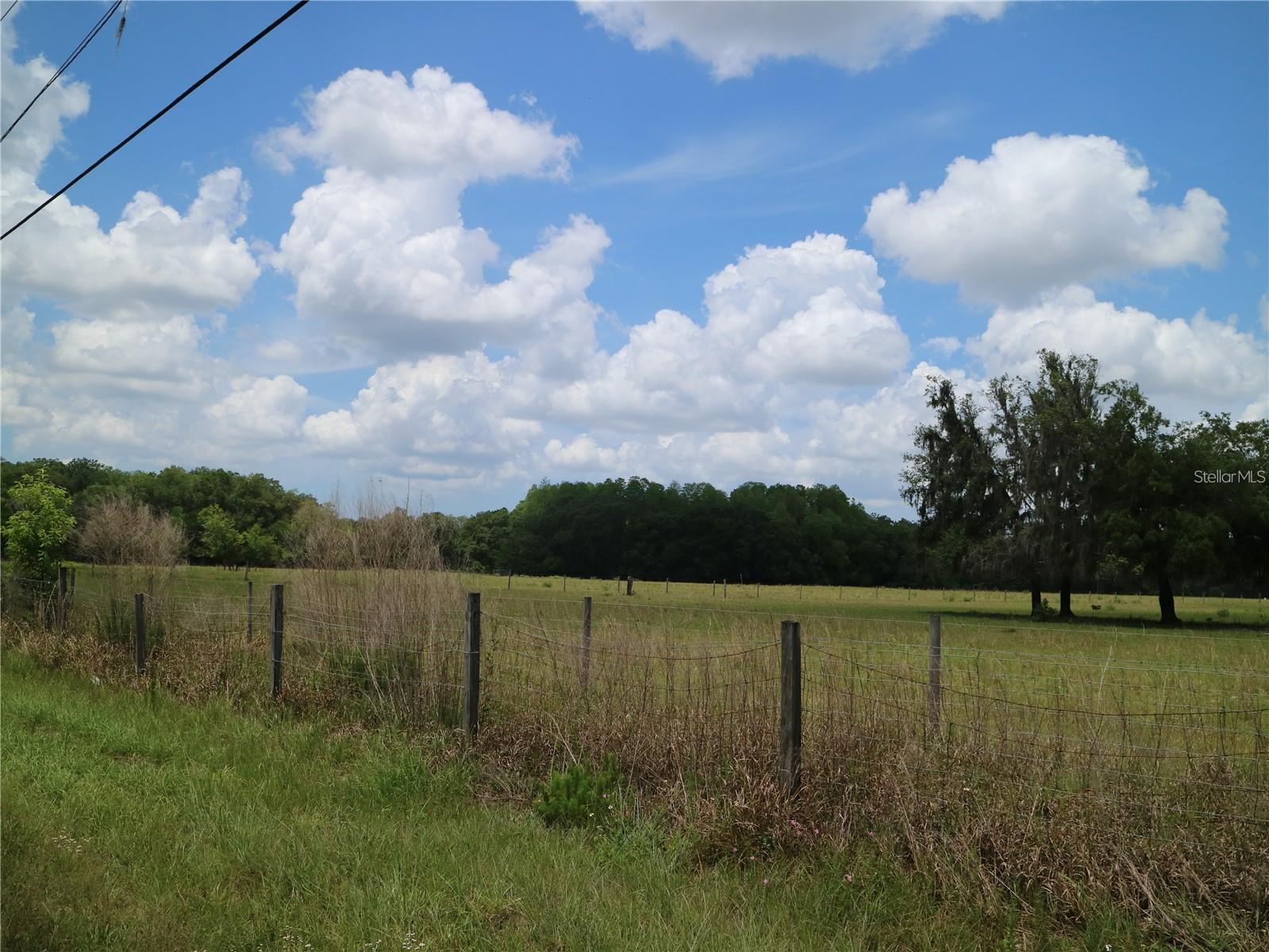 11819 TARPON SPRINGS ROAD