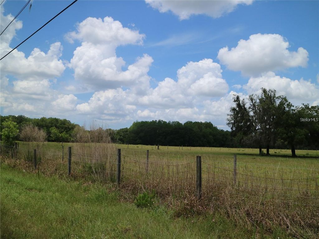 Photo of 11819 Tarpon Springs Road, Odessa, FL 33556 (MLS # TB8411475)