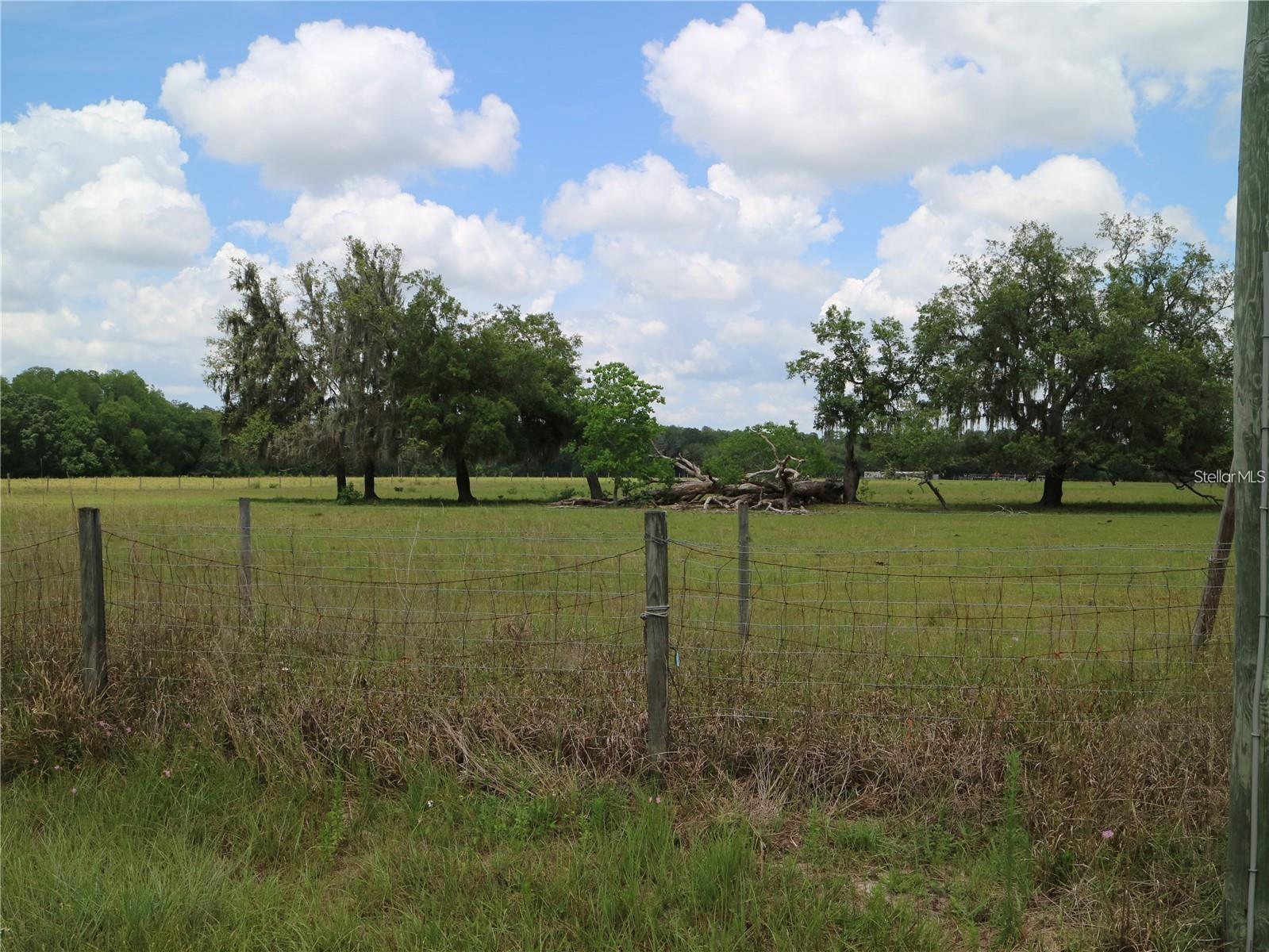 Endless Possibilities on 43.5 Prime Acres in Northwest Hillsborough County
Discover the rare opportunity to own 43.5 acres of untouched Florida beauty in the highly sought-after northwest corridor of Hillsborough County. This expansive property offers nearly 1,300 feet of frontage along Tarpon Springs/Keystone Road, while stretching almost a quarter mile deep—providing both visibility and privacy.
Whether you're envisioning a grand estate, multiple mini-estates, or an equestrian haven with pastures and stables, this property delivers the space and flexibility to bring your dreams to life. It's ideal for horse lovers, with ample room for barns, riding arenas, and as many horses as your heart desires.
Perfectly positioned, you're just 25 minutes from downtown Tampa, Tampa International Airport, major shopping centers, and world-class sports venues. In the other direction, a short 15-minute drive takes you to the charming coastal town of Tarpon Springs—home to the famous Sponge Docks, rich Greek heritage, exceptional dining, and stunning Gulf beaches.
This area boasts the highest per-capita income in Hillsborough County (2020 Census), underscoring its desirability and long-term value. With its vast acreage and prime location, the property also offers substantial development potential and can easily be subdivided into 5-acre parcels.
Opportunities like this are becoming increasingly rare—don’t miss your chance to own a significant piece of old Florida, combining natural beauty with unbeatable convenience. This is truly a once-in-a-lifetime chance to have it all.