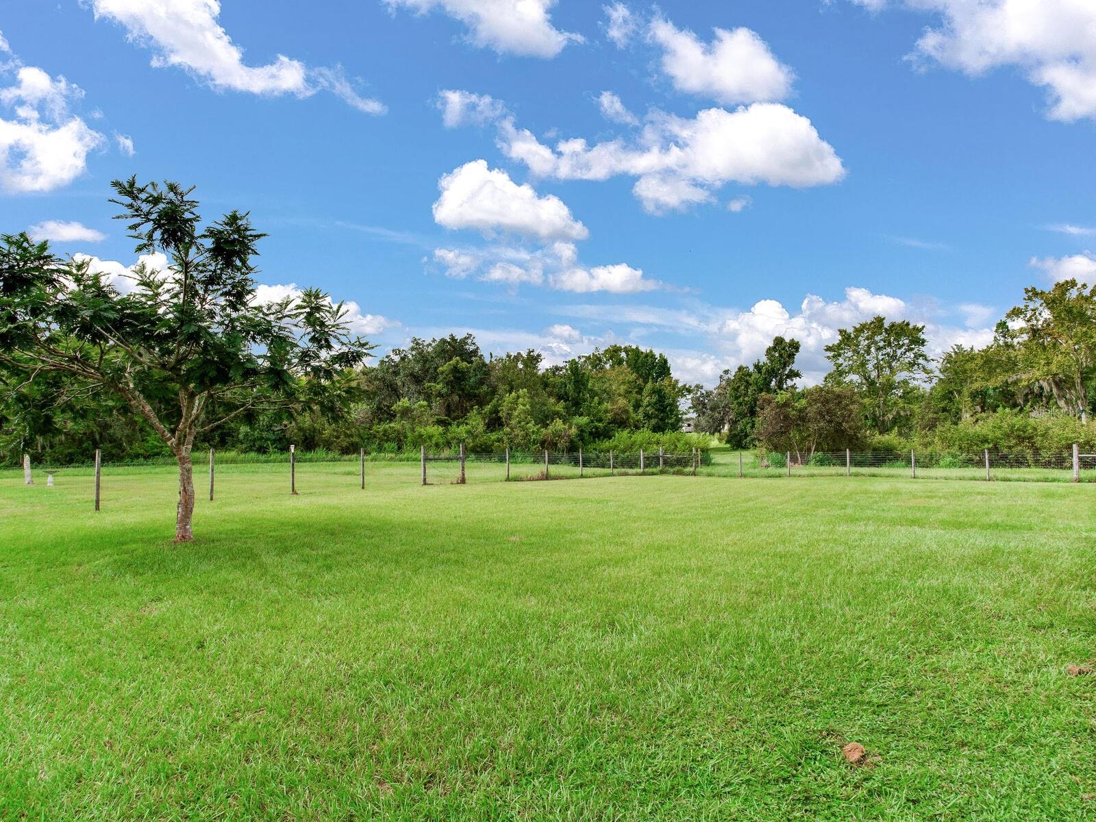 ALAFIA RIDGE ESTATES - Residential