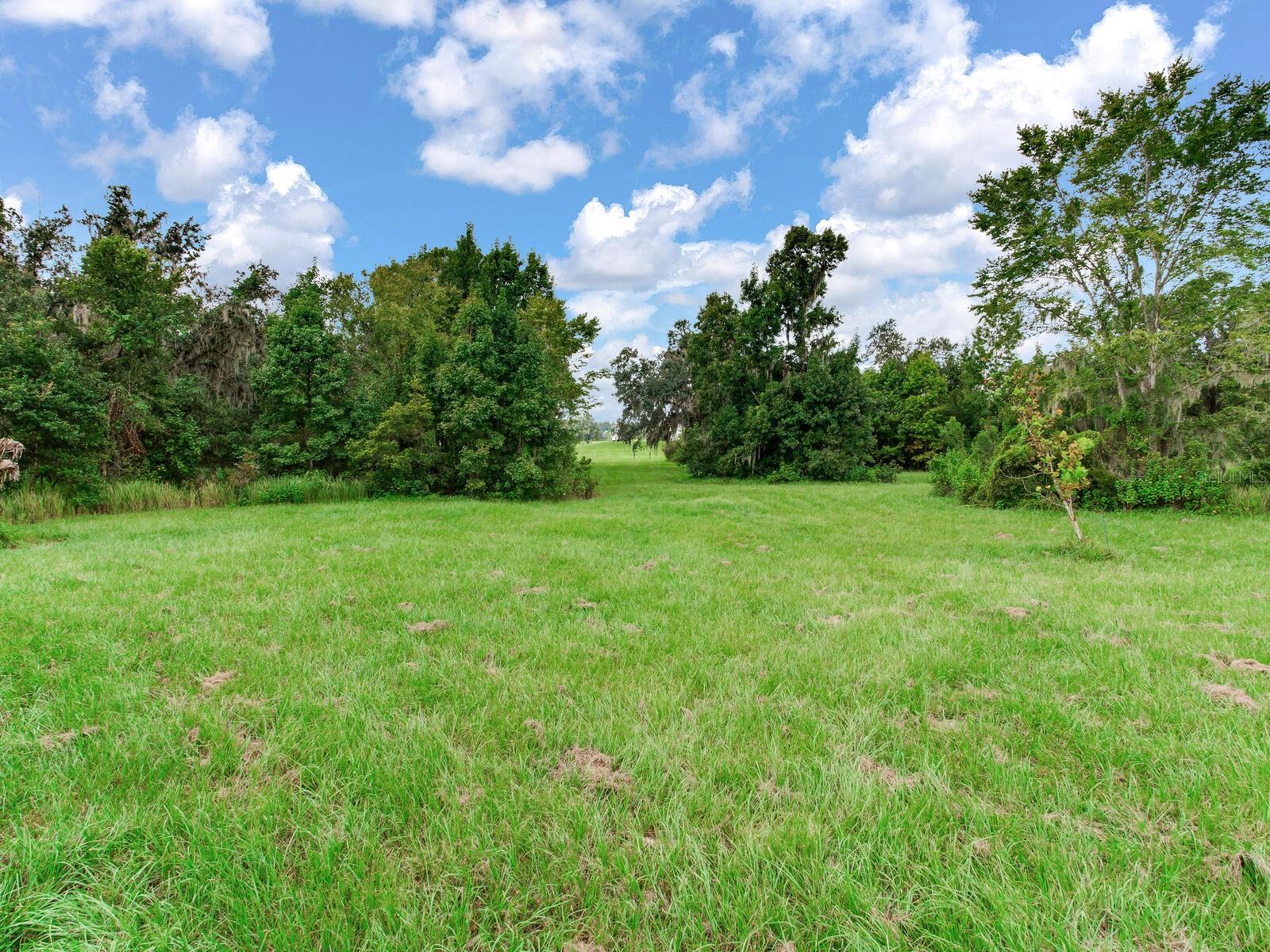 ALAFIA RIDGE ESTATES - Residential