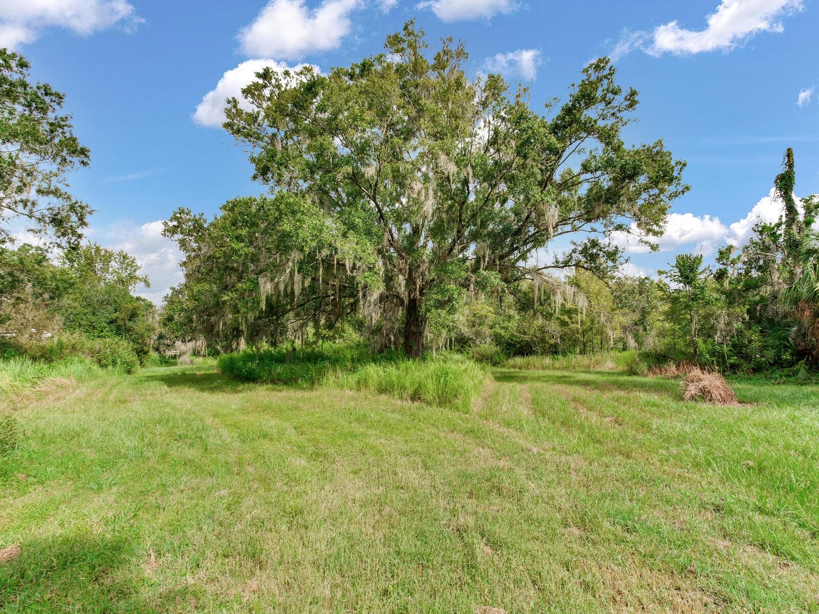 ALAFIA RIDGE ESTATES - Residential