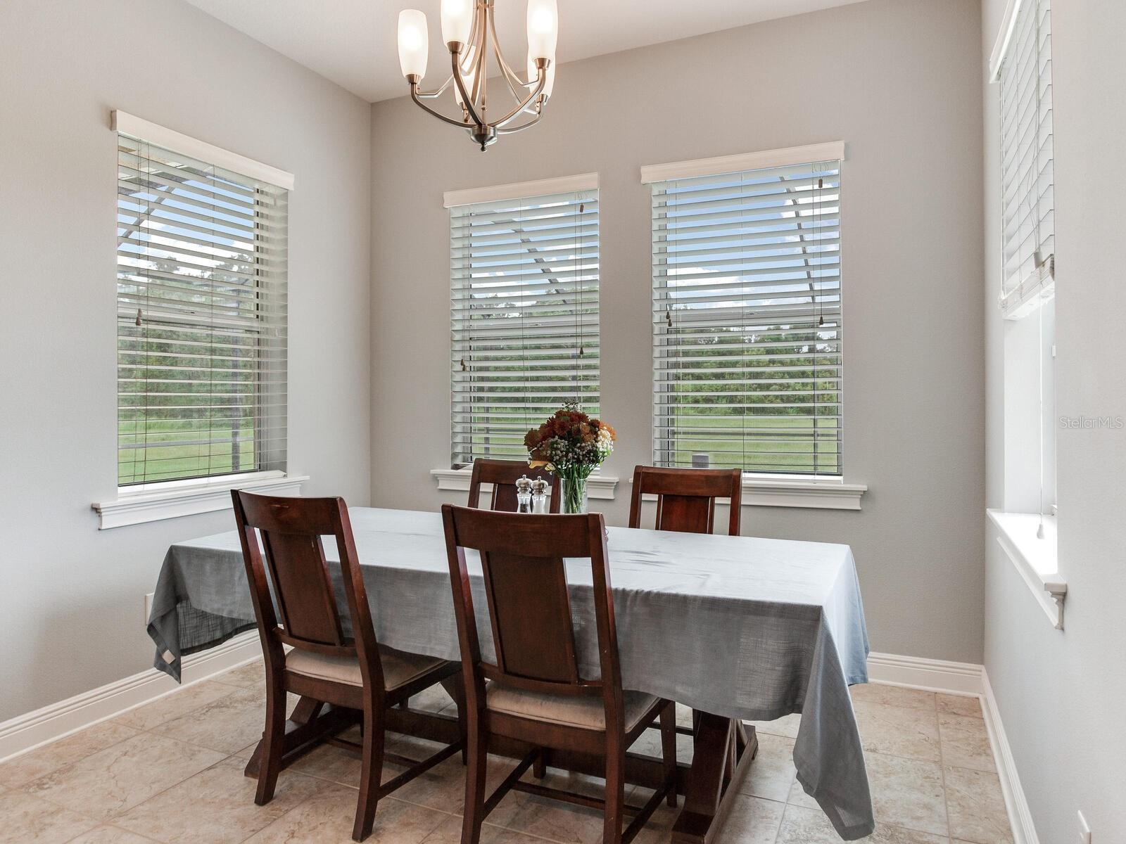 ALAFIA RIDGE ESTATES - Residential