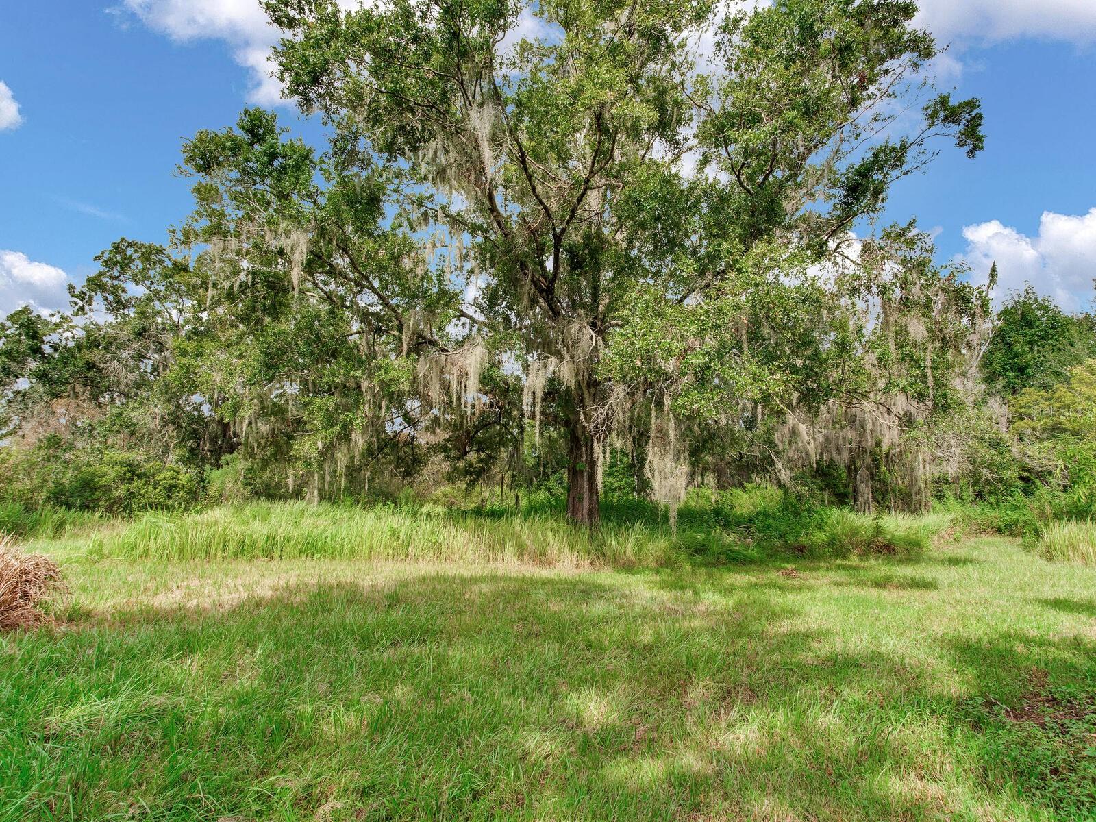 ALAFIA RIDGE ESTATES - Residential