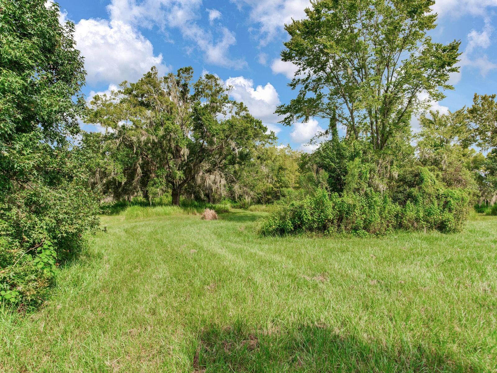 ALAFIA RIDGE ESTATES - Residential