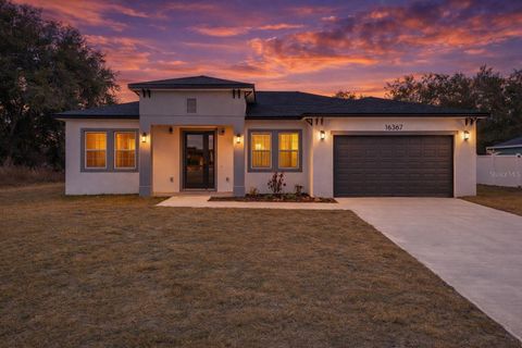 Photo of 16367 SW 16th Court, Ocala, FL 34473 (MLS # O6384390)