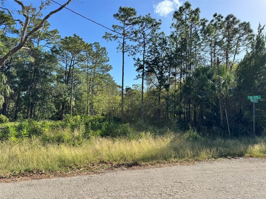 GET YOUR SLICE OF THE AMERICAN PIE! Situated in a peaceful, easy-going neighborhood, this .28-acre PIE SHAPED homesite offers endless possibilities to achieve your dreams! Flexibly zoned for site built or mobile homes with electric at the road. Septic and well will be needed. NO HOA & NO DEED RESTRICTIONS! The survey and elevation certificate have already been completed. So much to enjoy with the Homosassa River, Crystal River, & Gulf of Mexico minutes away for boating, fishing, kayaking, dining, shopping, & the only place to SWIM w/ the MANATEES! The Suncoast Parkway is only 10 minutes away; providing a straight shot to Tampa to enjoy the perfect night out! Or just 4 minutes away from US Hwy 19 for a slow Sunday drive with plenty of shopping along the way! Owner finance will be considered.