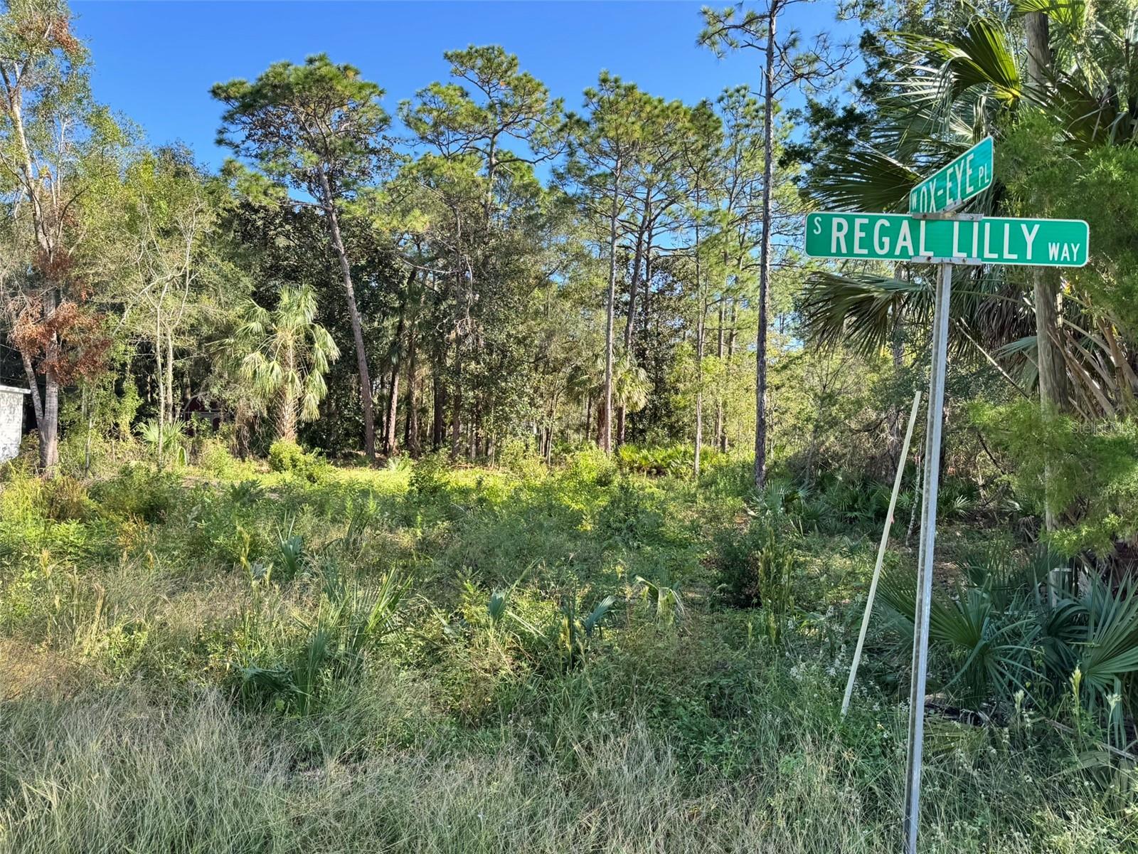 HOMOSASSA UNIT 06 - Land