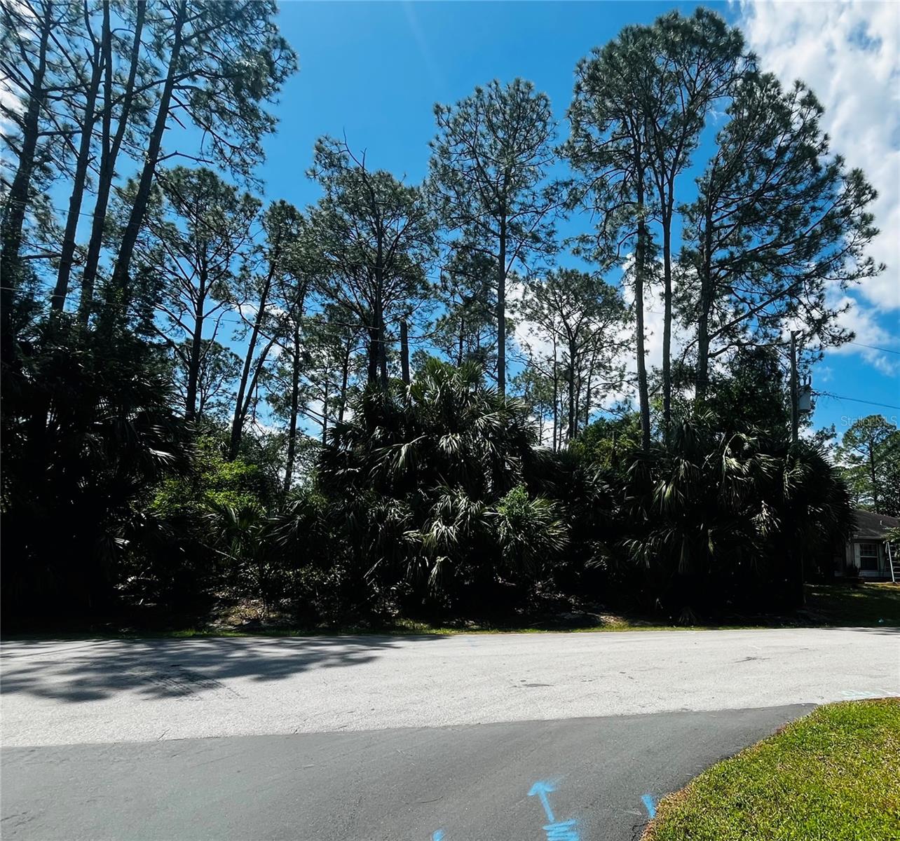 5 RANDOLPH DRIVE