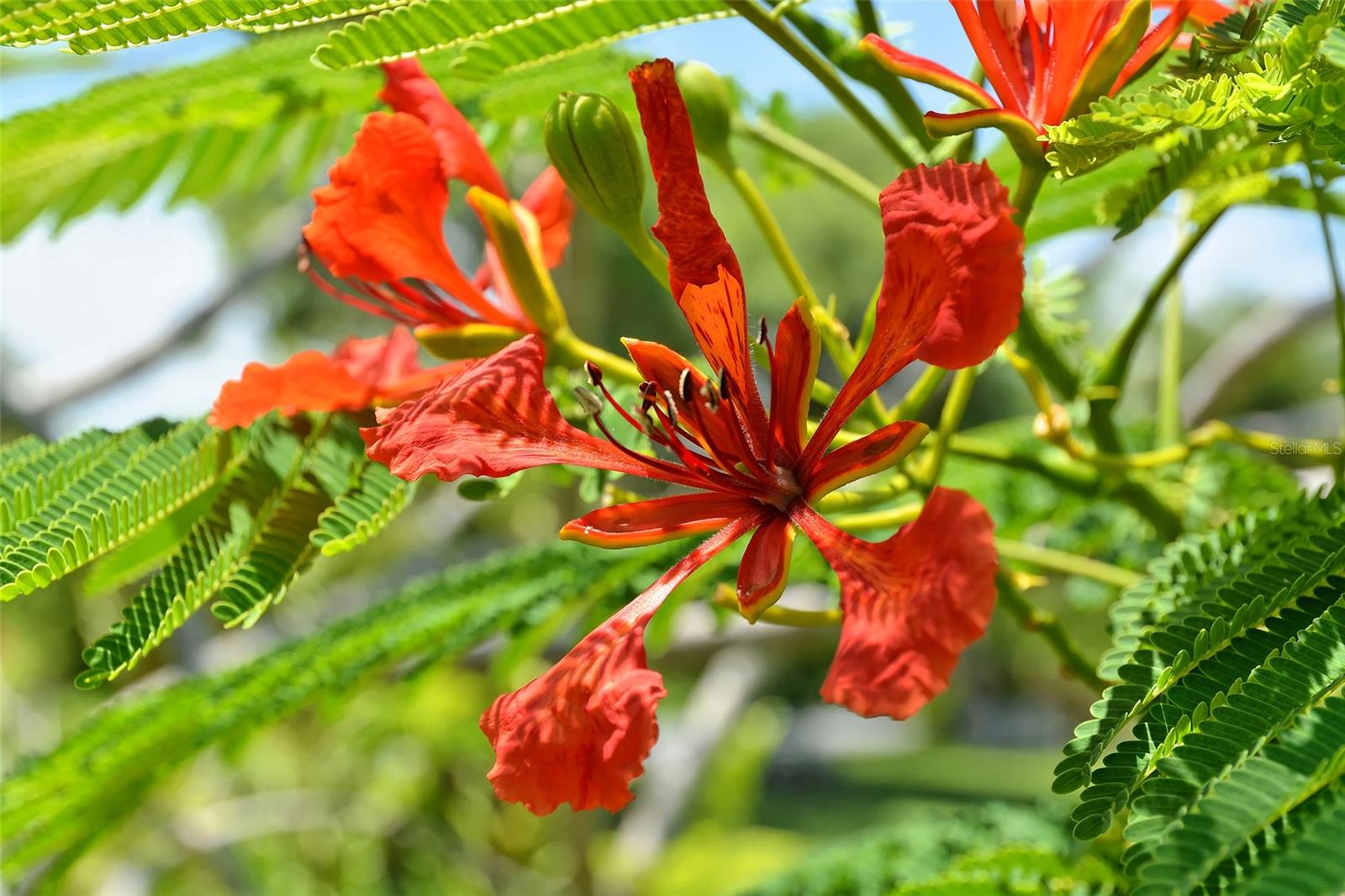 HAWTHORN PARK PH I - Residential