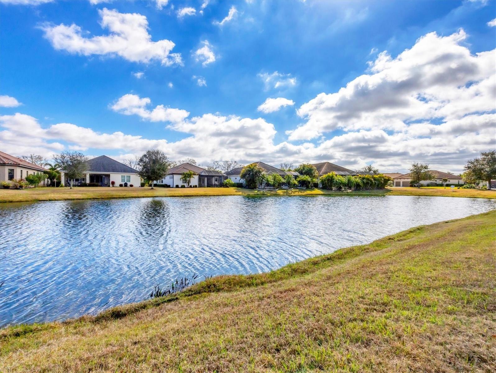 INDIGO PH II & III - Residential