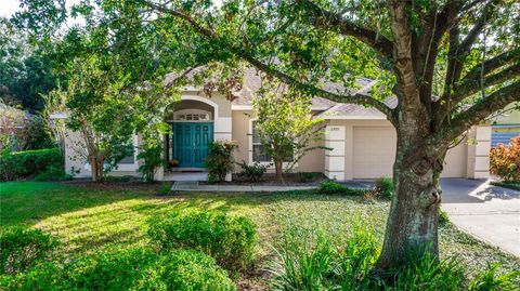 A home in EUSTIS