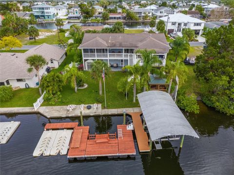 A home in HERNANDO BEACH