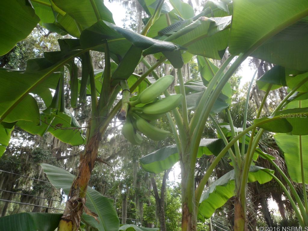 Florida Shores 01 - Residential