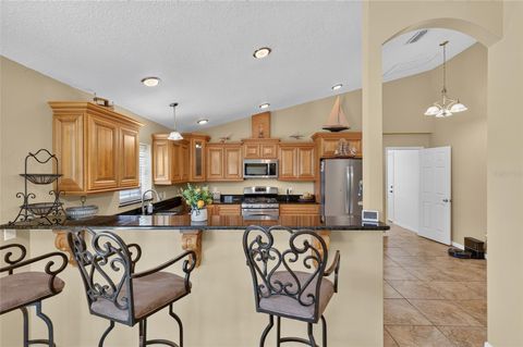 Tiny photo for 3830 Griffin View Drive, Lady Lake, FL 32159 (MLS # O6423193)