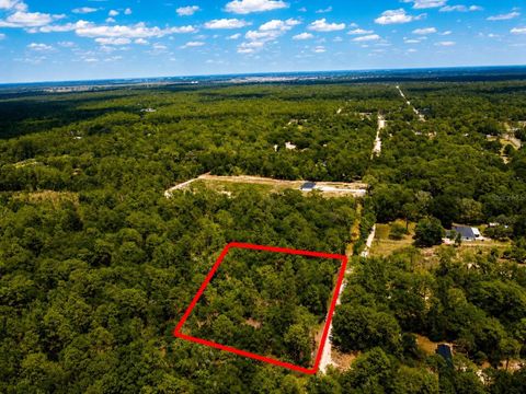 TBD SW 93RD PLACE DUNNELLON FL 34432
