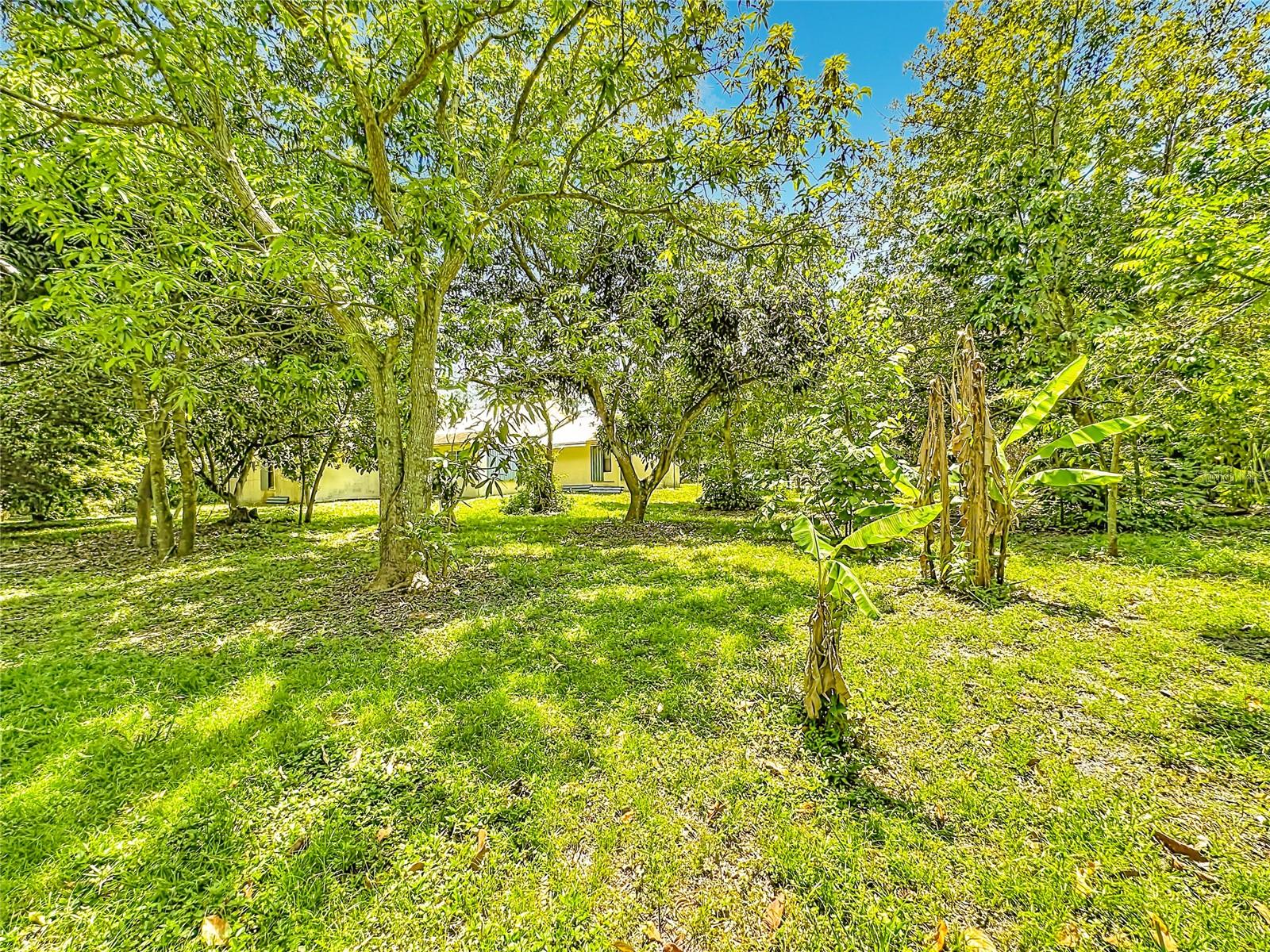ACREAGE & UNREC - Residential