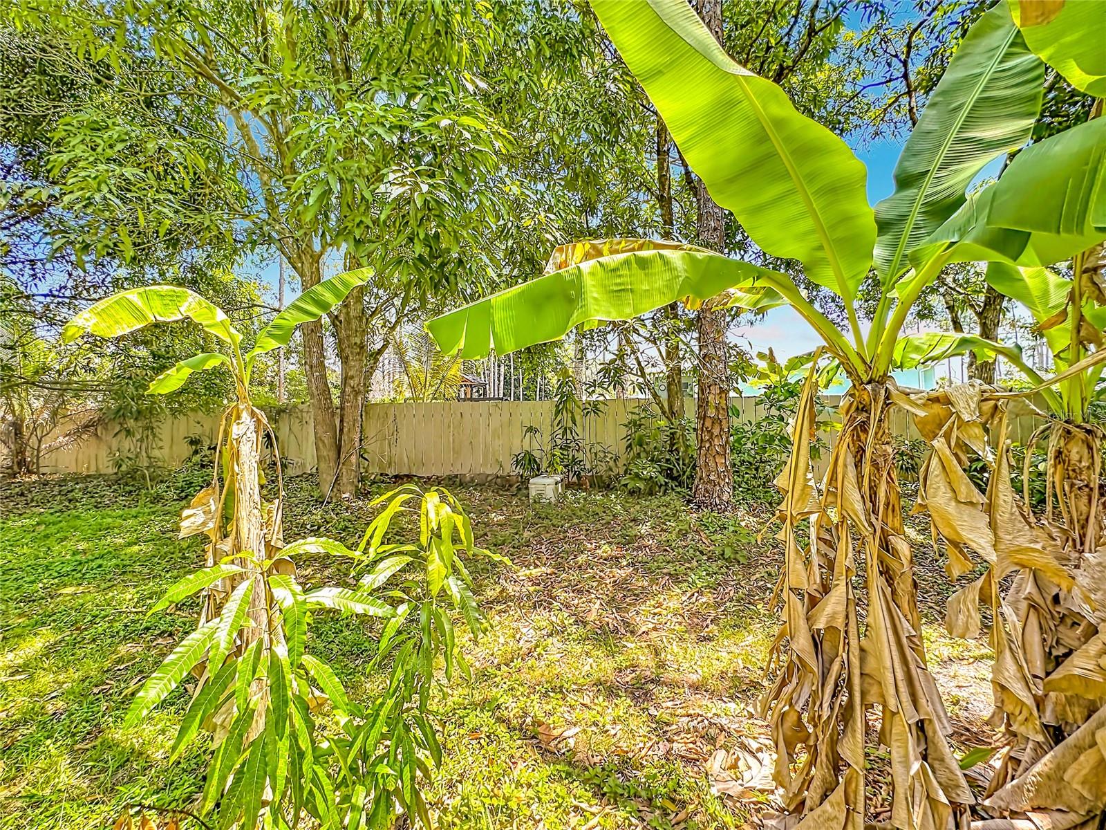 ACREAGE & UNREC - Residential