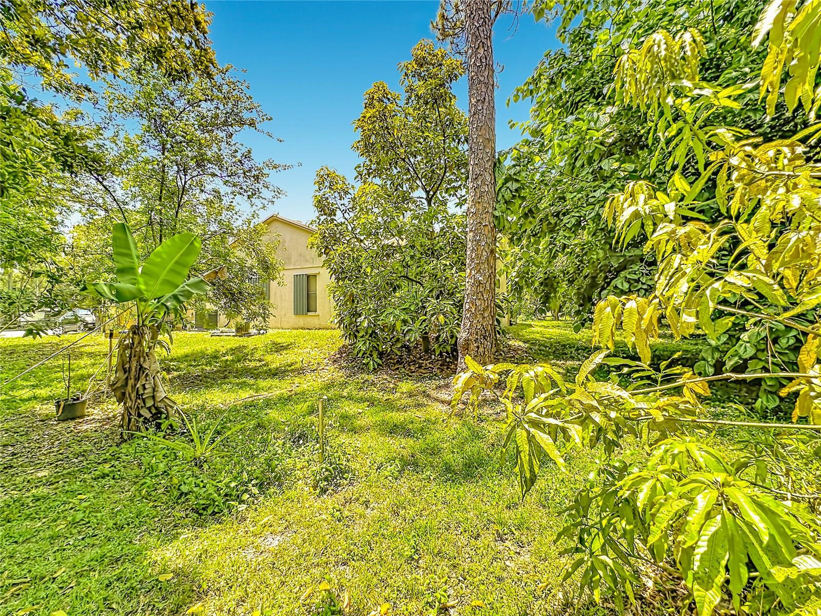 ACREAGE & UNREC - Residential