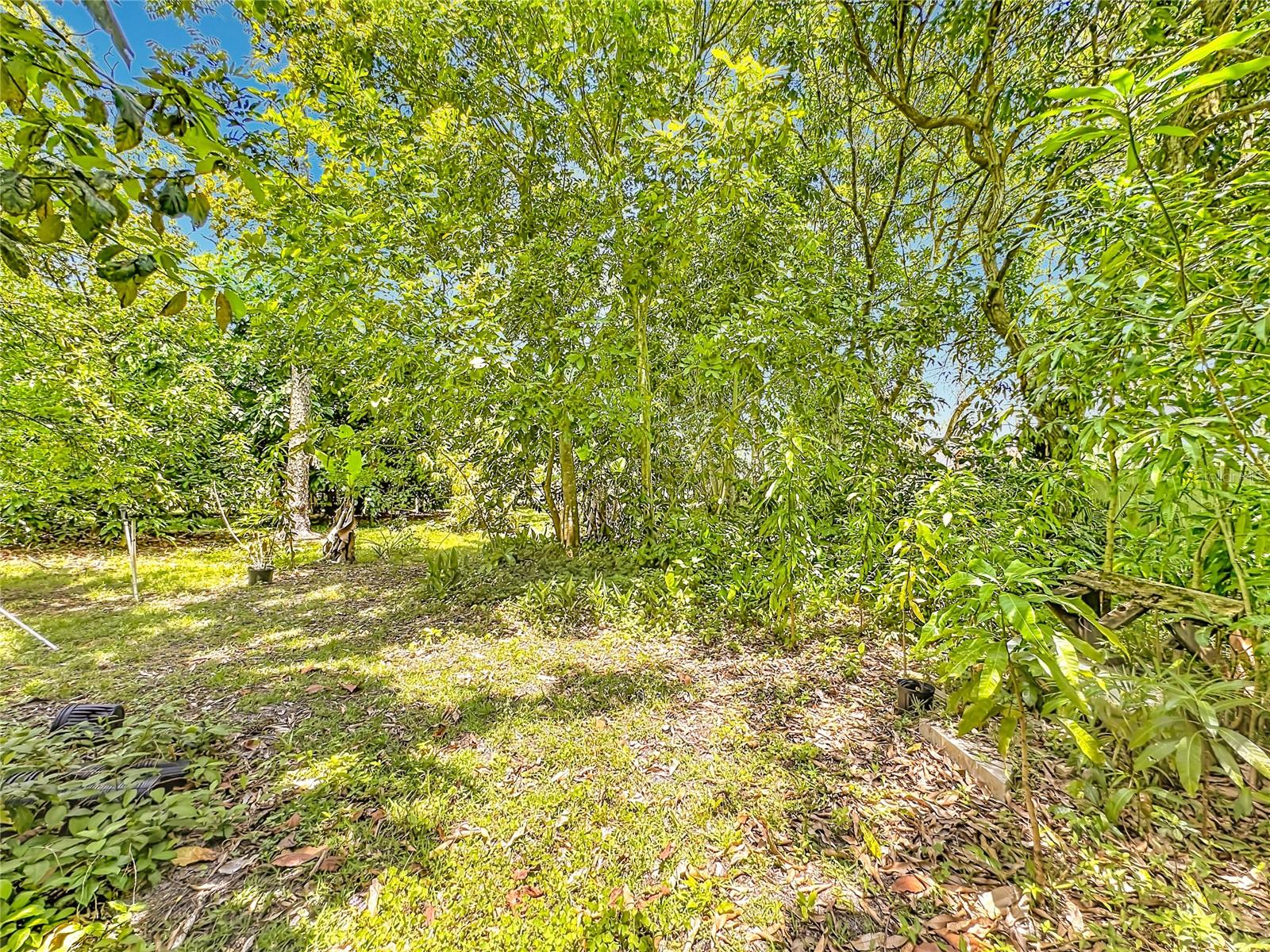 ACREAGE & UNREC - Residential