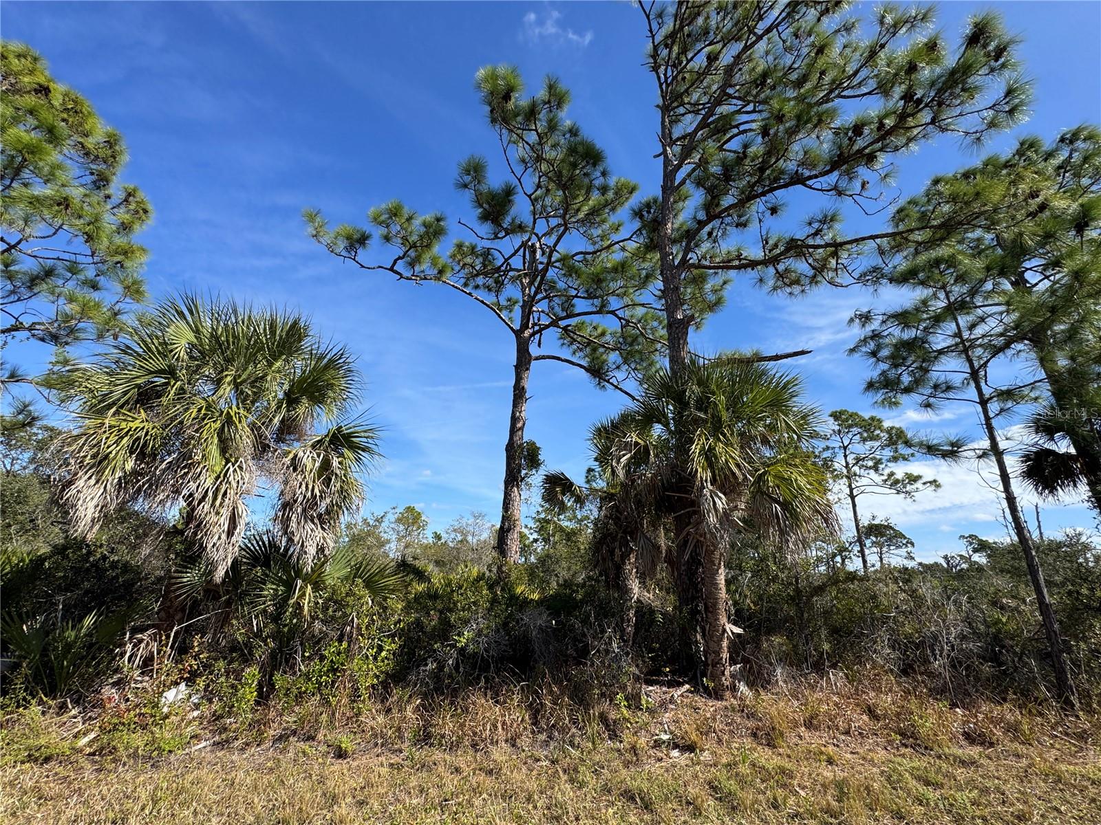 3110 GILLOT BOULEVARD