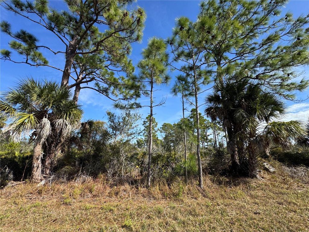 Photo of 3110 Gillot Boulevard, Port Charlotte, FL 33981 (MLS # TB8466575)