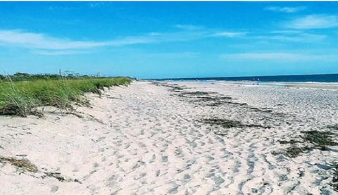 Photo of Copernicus Road, North Port, FL 34288 (MLS # O6414548)