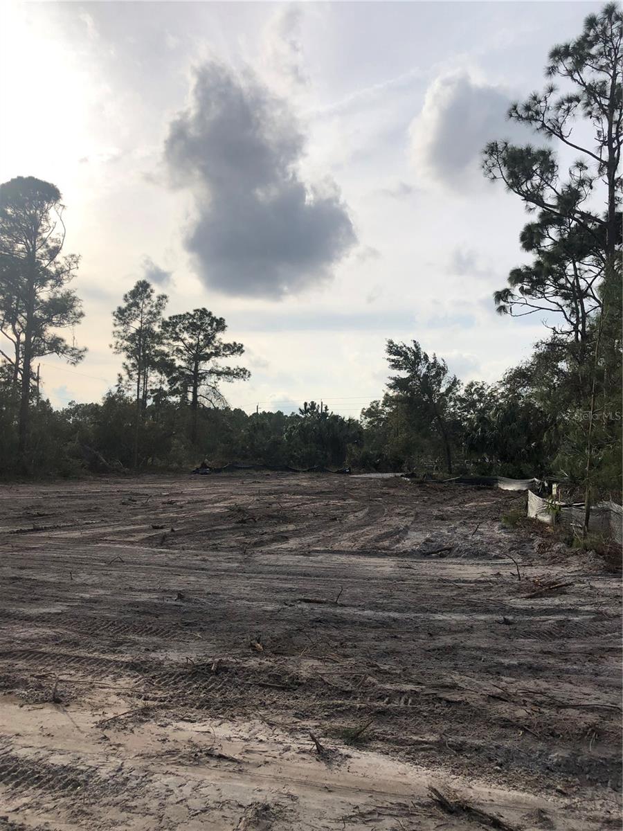 QUAIL ROOST RANCHES UNREC 202 - Land