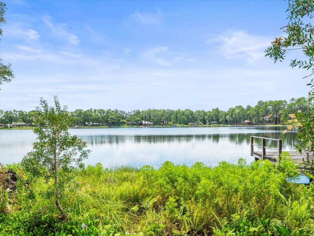 Photo of 16035 Chastain Road, Odessa, FL 33556 (MLS # TB8399971)