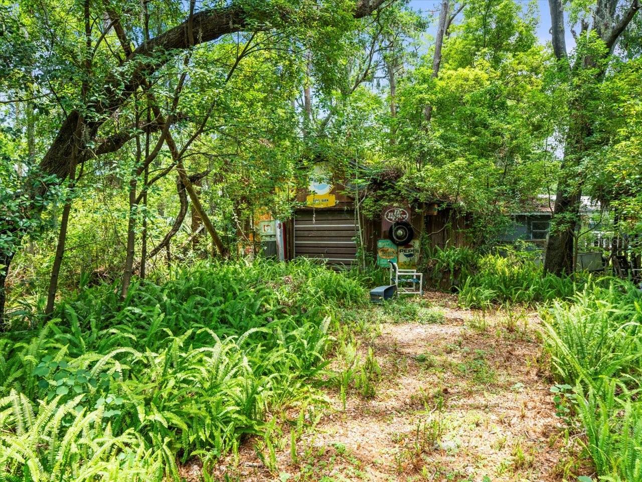 UNPLATTED - Residential