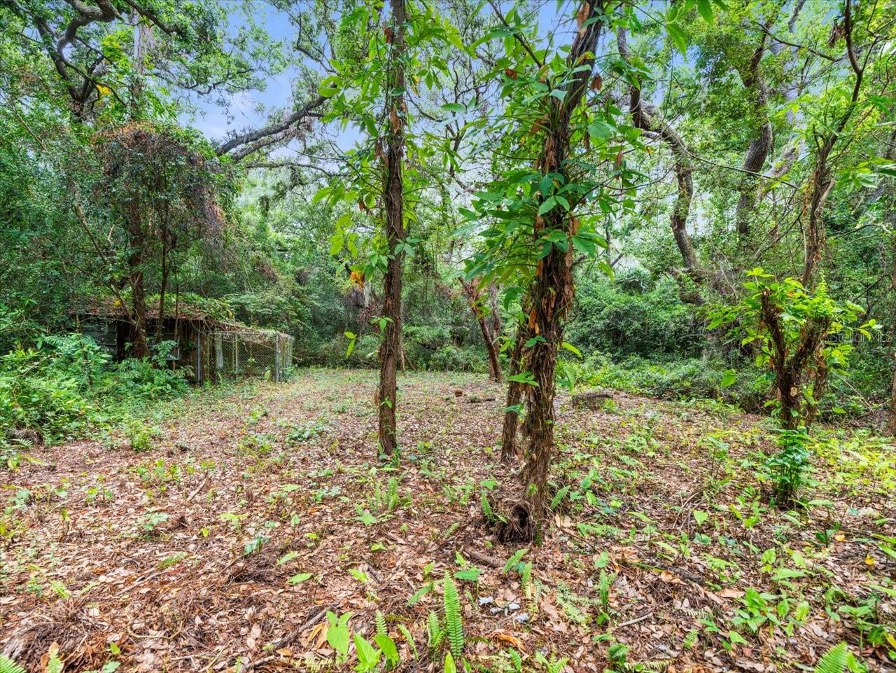 UNPLATTED - Residential