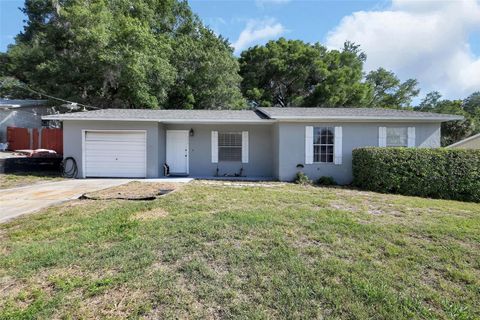 Photo of 555 Sandy Pines Drive, Orange City, FL 32763 (MLS # V4948723)