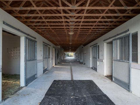 Tiny photo for 9001 NW 200th Street Road, Micanopy, FL 32667 (MLS # OM691308)