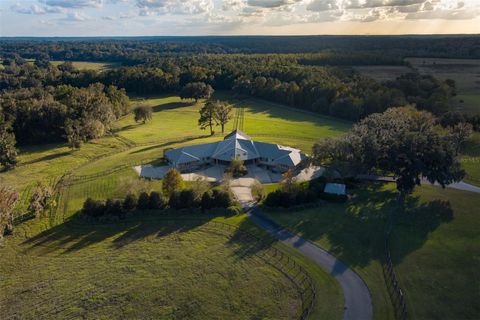 Tiny photo for 9001 NW 200th Street Road, Micanopy, FL 32667 (MLS # OM691308)